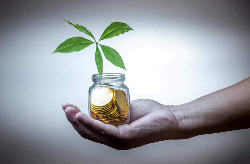 Budget friendly eco swaps saving money jar with plant growing to symbolize sustainability