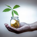 Budget friendly eco swaps saving money jar with plant growing to symbolize sustainability