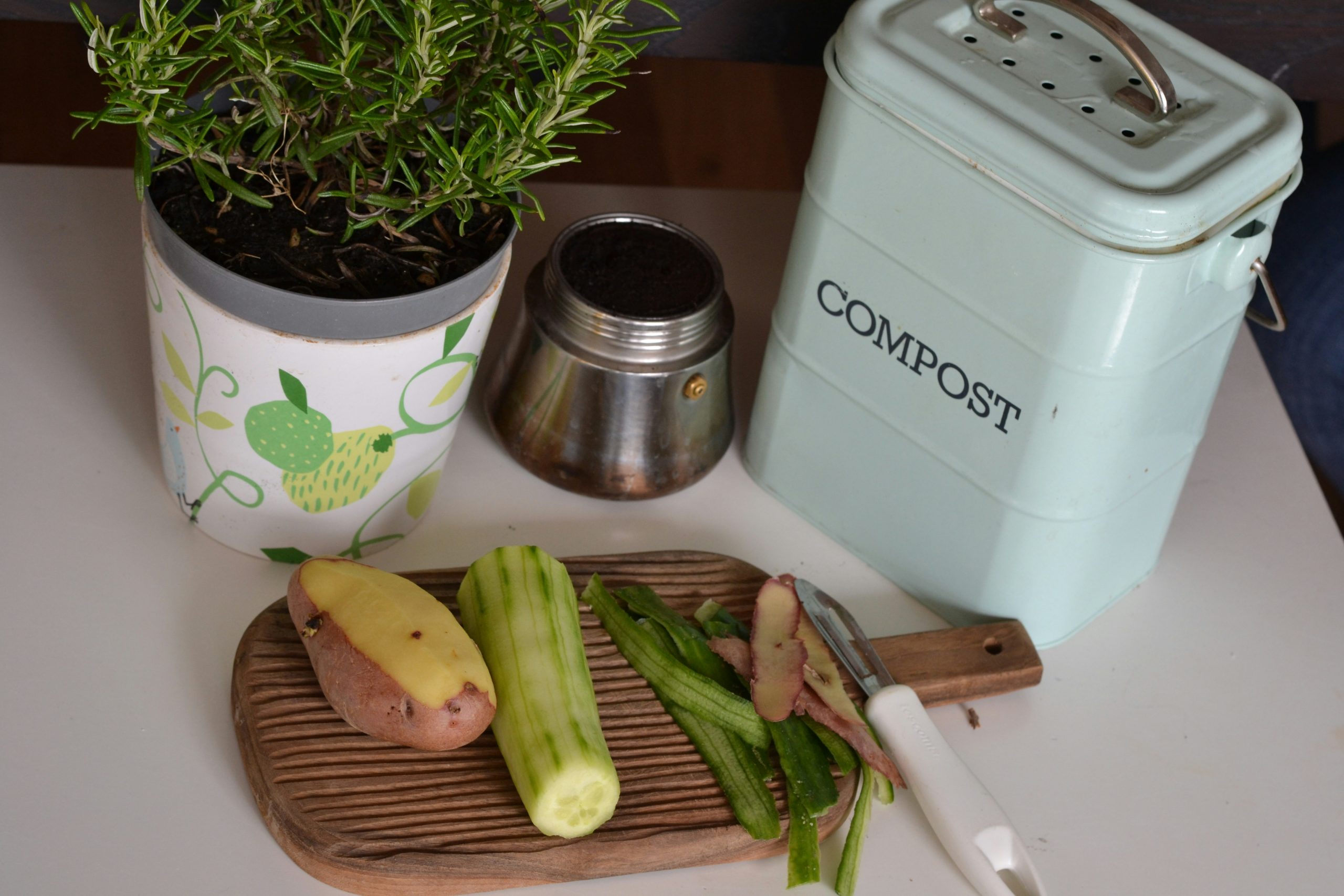 Apartment Composting: A Smart Choice for Sustainable Living 1 Small apartment kitchen with a countertop compost bin, representing eco-friendly living in 2025.
