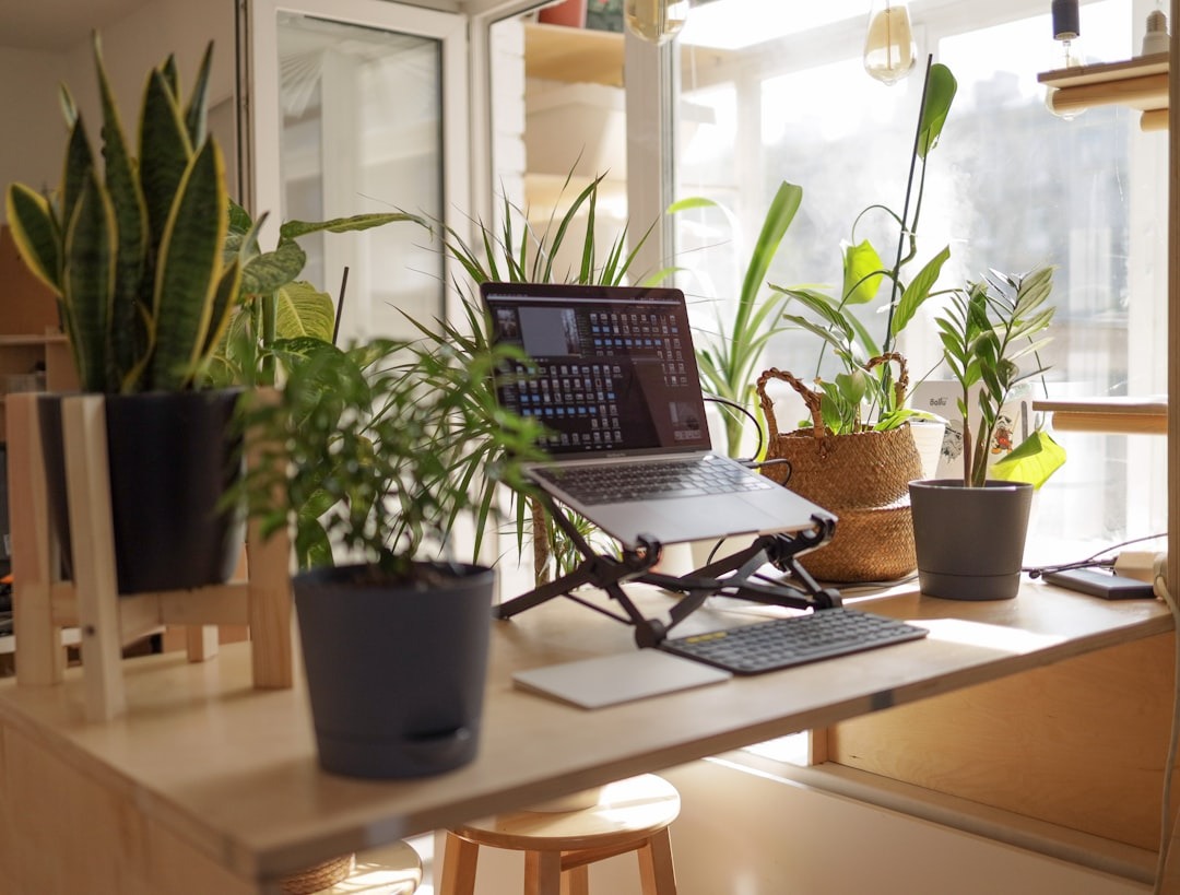 Eco-friendly technology concept with sustainable laptop and smartphone on desk with plant.