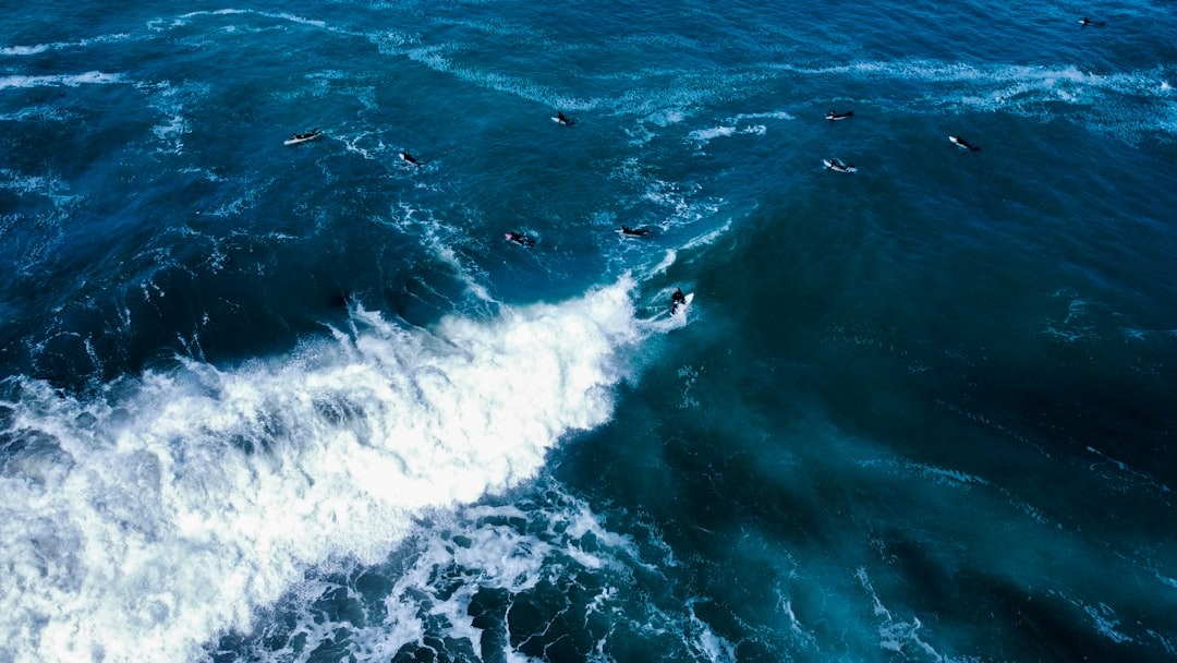 Artificial intelligence and satellite technology monitoring ocean sustainability.
