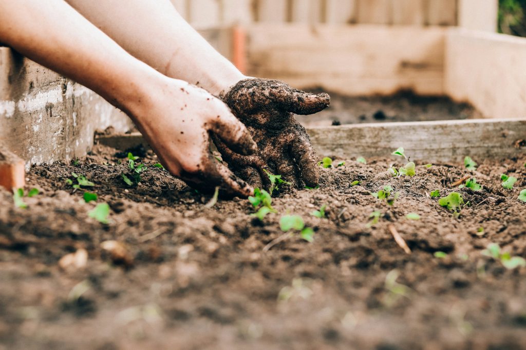 Apartment Composting Mistakes (and Fixes) in 2025 3 Fixing composting odor in apartment bins with carbon filters and browns to solve common composting problems