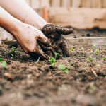 Fixing composting odor in apartment bins with carbon filters and browns to solve common composting problems