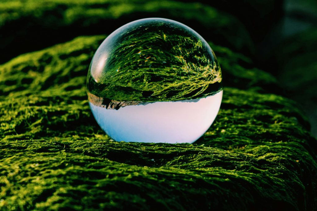 How Sustainability Can Be Measured: A Practical and Personal Look at the Future of Green Metrics and Technology 8 Team analyzing sustainability frameworks and performance charts in a modern office.